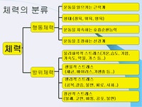 건강과 체력의 개념과 요인