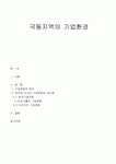 극동지역의 기업환경(러시아와 한국의 기업문화의 차이점)