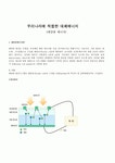대체에너지 (태양광) 전망,국내외현황,가능성의 이유