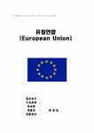 EU연합 (산업혁명이후 경제사에 나타난 역사적 사실)