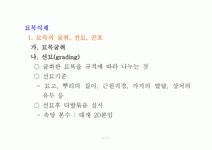 묘목식재에 대하여