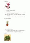 식물도감