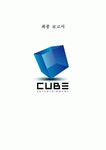 큐브 엔터테인먼트 (Cube Entertainment) 최종 보고서