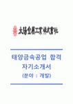 [태양금속공업자기소개서]태양금속공업자기소개서합격예문 +[면접기출문제]_태양금속공업자소서_태양금속공업공채자기소개서... 