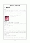 [성인간호학][직장암][Colon cancer] 케이스 스터디(Case Study), 문헌고찰