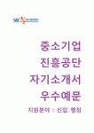(중소기업진흥공단 자기소개서 + 면접기출문제) 중소기업진흥공단(신입행정) 자소서 우수예문 [중소기업진흥공단자소서지원동기첨삭항목]