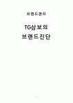 TG삼보 기업분석-TG삼보 경영전략,TG삼보 마케팅,국내외 컴퓨터 시장 분석,TG삼보 브랜드 진단,TG삼보 브랜드 분석