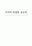 이가자 컨설팅 보고서
