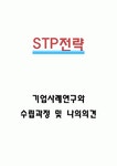 STP 전략수립 과정과 기업 STP전략 사례연구 및 나의의견