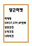 당근마켓 마케팅 SWOT,STP,4P전략 분석 및 당근마켓 성공요인과 수익구조 및 나의의견