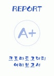[A+] 크로마토그래피 예비리포트