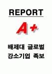 배제대 글로벌 강소기업 족보 A+