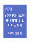A+ (주)대일시스템 국내영업 신입 자기소개서