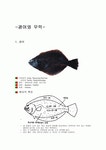 광어와 우럭 레포트 자료