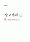Haagen-dazs 하겐다즈 광고기획서 - 선정이유, 배경, 연혁, 특징, 환경분석