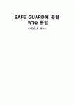 세이프가드(SAFE GUARD)에 관한 WTO 규범