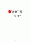 동양그룹 기업 분석(재무, 회계, 인사, 마케팅, 조직, SWOT)
