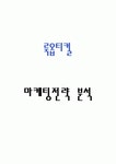 룩옵티컬(Lookoptical) 마케팅전략분석 및 기업경영분석과 룩옵티컬 개선방향 제안