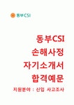 (동부CSI손해사정자기소개서 + 면접기출문제합격자스펙) 동부CSI손해사정(신입사고조사) 자기소개서 우수예문... 