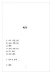 프랜차이즈 서래 갈매기 기업분석 및 마케팅전략(영문레포트)