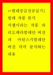 발레 중급전공실기) 지젤이라는 작품 파리오페라발레단 버전과 마린스키발레단 버전 각각 분석