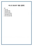 바스프 BASF 채용 설명회