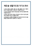 [자기소개서] 해든솔 생활지도원 자기소개서 합격 자소서 예문 기출 문항 최종 준비 자료