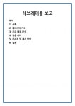 레브레터를 보고
