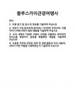 [기업 자기소개서] 블루스카이관광여행사 합격 자기소개서 자소서