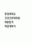 중앙대학교 건강간호대학원 학업계획서 (중앙대 간호대학원 학업계획서 BEST 예문)