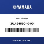 Yamaha 2UJ-24560-10-00 FILTER ASSY - RevZilla