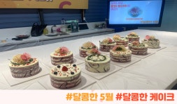 부서안내 | 부서소식 | 부산광역시 사하구