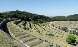 삼척시추모공원