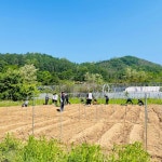 포토앨범 > 전공소식 > 상지대학교 식물생명자원학과