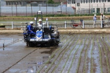 「コシヒカリの反省」福井県の見せた意地（2/2ページ） - 産経ニュース 「コシヒカリの反省」福井県の見せた意地