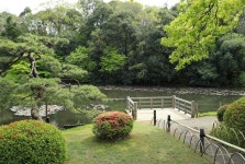 明治神宮御苑の南池と、昭憲皇太后が使ったお釣台｜【１００年の森　明治神宮物語】… 写真2/2｜産経ニュース 【１００年の森... 