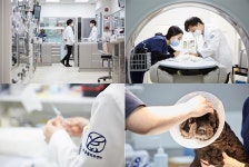 [안양본동물의료센터] 2021년 본동물의료센터 각 부문 신입 및 경력 채용 - 사람인