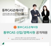 [디비씨에이에스손해사정(주)] 동부CAS 신입/경력사원 공개채용 - 사람인
