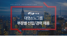 [(주)소노인터내셔널] 대명소노그룹 부문별 신입/경력 채용 - 사람인