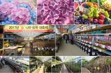 [대림원예종묘농업회사법인(주)] 대림원예종묘(주) 사무업무 정규직 채용 - 사람인