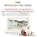 [(주)이마트] 이마트 애완전문점 몰리스펫샵 사원모집 - 사람인