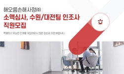 [(주)해오름화재특종상해질병손해사정] 소액심사, 수원/대전팀 인조사 직원모집 - 사람인