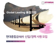 [현대종합금속(주)] 현대종합금속㈜ 신입/경력 사원 모집 - 사람인 [현대종합금속(주)] 현대종합금속㈜  신입/경력 사원 모집 - 사람인