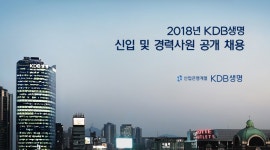 [케이디비생명보험(주)] 2018년 KDB생명 신입 및 경력 사원 공개 채용 - 사람인