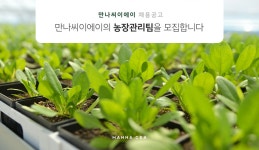 [농업회사법인만나씨이에이(주)] [MannaCEA] 농장운영·관리 신입/경력 모집 - 사람인
