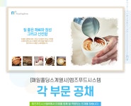 [엠즈푸드시스템(주)] (매일홀딩스계열사)엠즈푸드시스템 각 부문 공채 - 사람인