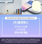 [주식회사 플랜룩스] 온라인쇼핑몰 각 부문(MD/디자이너/마케팅) 경력직 채용 - 사람인