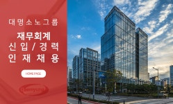 [(주)소노인터내셔널] 대명소노그룹 재무회계 신입/경력 인재 채용 - 사람인