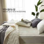 [(주)에스엔티솔루션] 온라인MD/마케팅 경력 채용 - 사람인