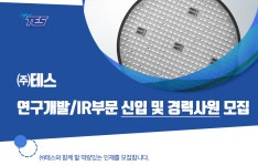 [(주)테스] 연구개발/IR부문 신입 및 경력사원 모집 - 사람인